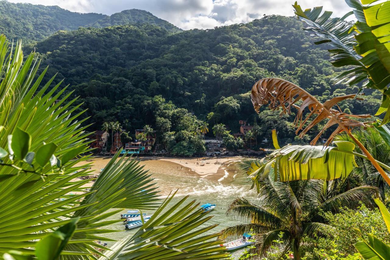South Shore Villa Armonia Luxury Boutique Puerto Vallarta Exterior photo